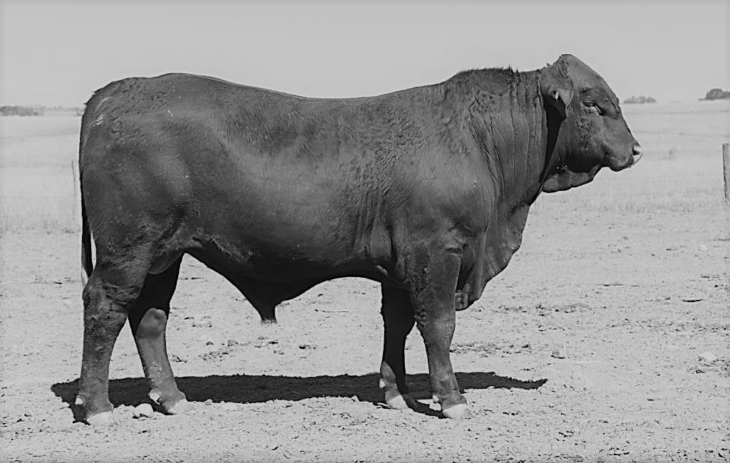 S20_LOT86